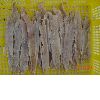 dried blue whiting fillets,dry pollock,fish fillets,yellow croaker