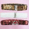 Elastic Sequine Belts -- popular & charming