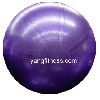 65cm pro exercise ball