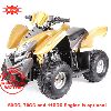 ATV(Quads Bike)