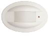 RK309 PIR Curtain Detector With Directional Immunity