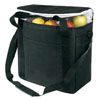 Cooler bag CB005  