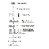 lncRNA Sequencing 