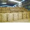 COCONUT FIBER GRADE B