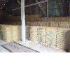 COCONUT FIBER GRADE AA