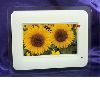 7 inch TFT Digital photo frame