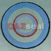 PTFE Envelope Gasket