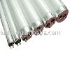 daylight,fluorescent light,fluorescent tube,fluorescent lamps