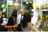 The 13th China (Guangzhou) International Food Exhibition And Guangzhou Import Food Exhibition 2013