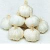 2012 organic normal white garlic 