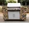 BBQ grill--BQ5G-ST01