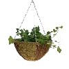 hanging basket