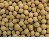 Soybean Extract 