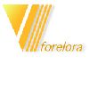 [CN] Forelora HVAC Equipment Manufactory