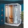 sauna shower room