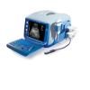 Veterinary Ultrasound--CX9000C