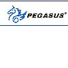 [CN] Pegasus Corporation Limited