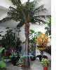 artificial chinese fan palm tree 