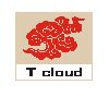 [CN] Tcloud Technology Co.Ltd