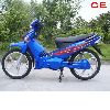 CE electric bike