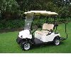 2 Seater Golf Cart