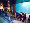 sea aquarium,ocean park