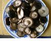 shiitake mushrooms in brine