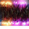 led strips