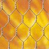 hexagonal wire mesh