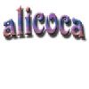 [CN] Shanghai Alicoca Industry Trading Co., Ltd