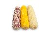 Frozen Corn whole