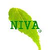 [TW] NIVA CREATIVE DESIGN LTD.