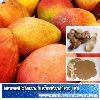 African Mango Seed Extract