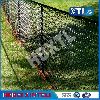 High quality Chain Link Fence