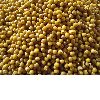 Yellow mung beans (2011 Crop)