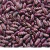 Purple speckled kidney beans (2011 Crop)