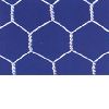 hexagonal wire mesh 