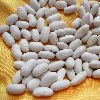 new crop Japanese type white kidney beans