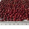 New crop small red round beans Azuki Beans