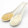 Wholesale dried bulk garlic seasoning powder