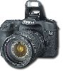 Canon EOS 10.5-Megapixel Digital SLR Camera - Black