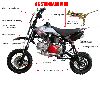 2006 standard mini dirt bike