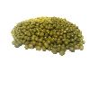 Mung Beans