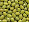 Green Mung Bean