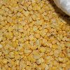 IQF Frozen fresh sweet corn