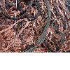 copper scrap,cathode scrap, aluminun scrap, glass scrap