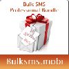 Bulk SMS Professional Bundle