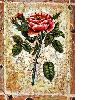 Canvas Flower Oil Painting