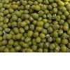 Green Mung Beans China hot sell