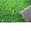 Tennis synthetic  grass,Basketball artificial grass